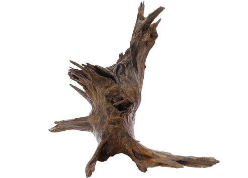 天然流木 ブラウン 食器レンタル パーティー用品レンタルはファースト メイトへ