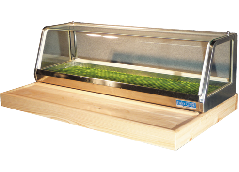 期間限定値下げ 寿司ネタケース 酸っぱい 